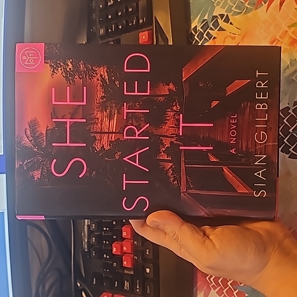 She Started It a novel by Sian Gilbert